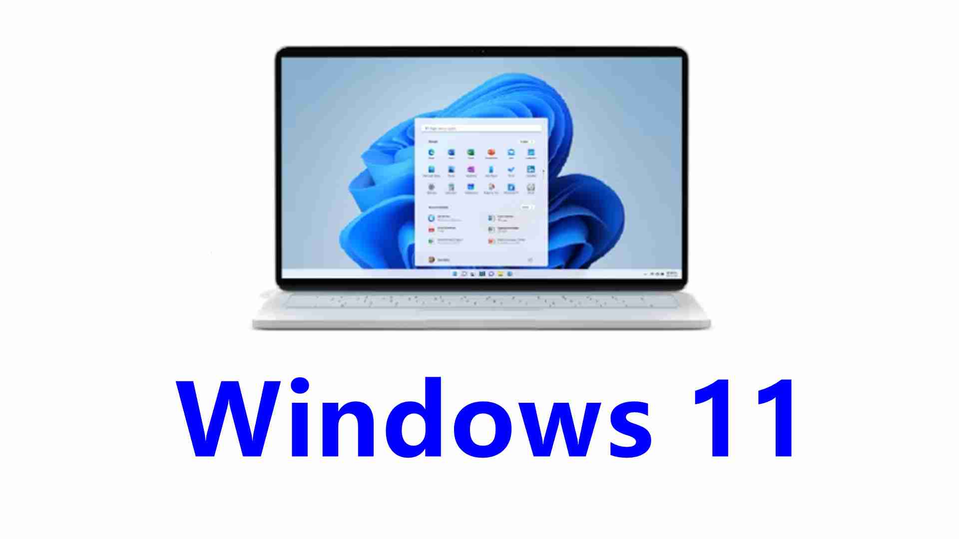 Windows 11 2024 官方原版系统