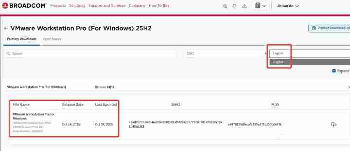 VMware Workstation Pro 25H2 Windows 平台汉化