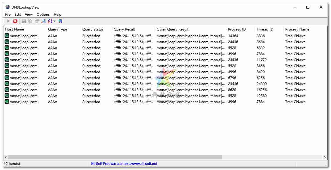 DNS请求DNSLookupView 1.55 汉化版查询活动监控工具