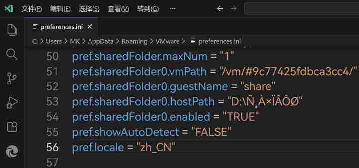 VMware Workstation Pro 25H2 Windows 平台汉化