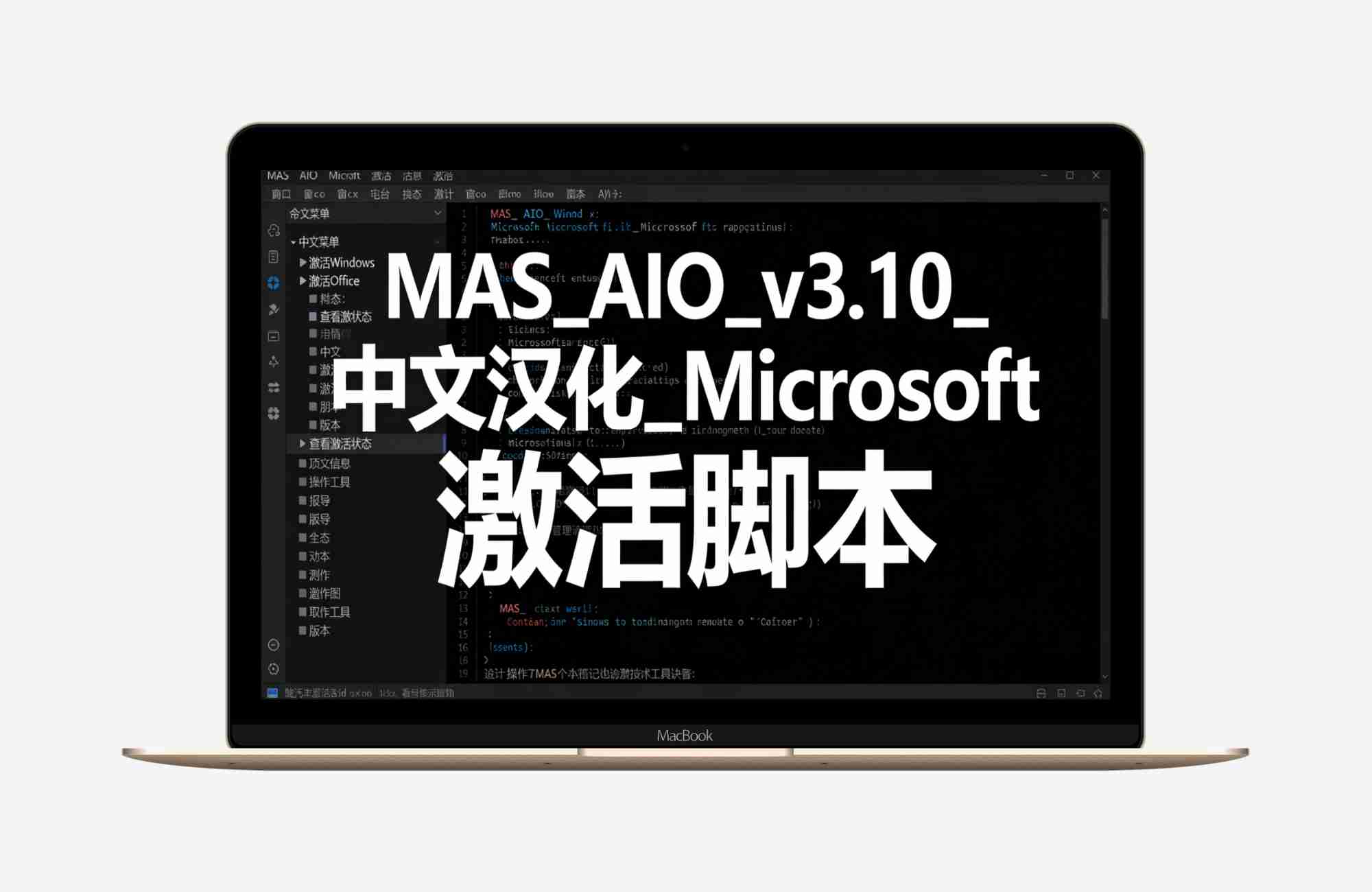 MAS_AIO_v3.10_中文汉化_Microsoft 激活脚本 (MAS)