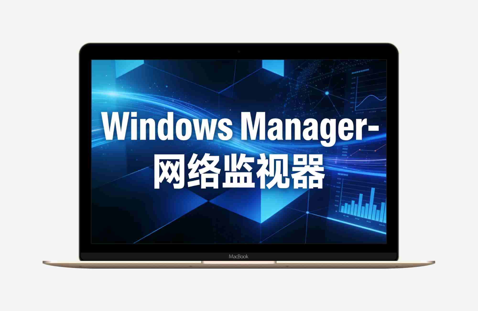 Windows Manager-（网络监视器） v1.1-单文件应用