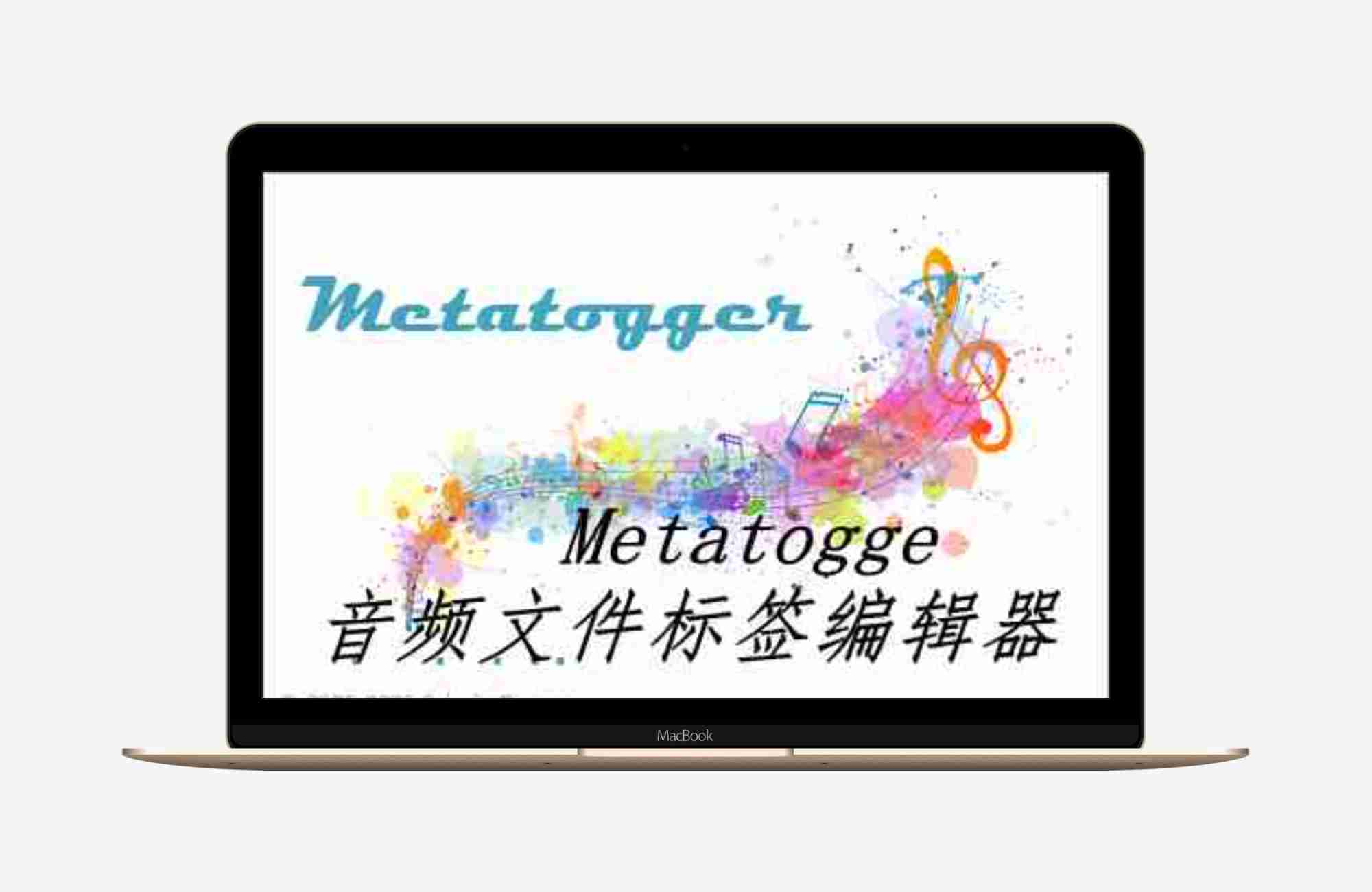 音频文件标签编辑器Metatogger v7.7安装版