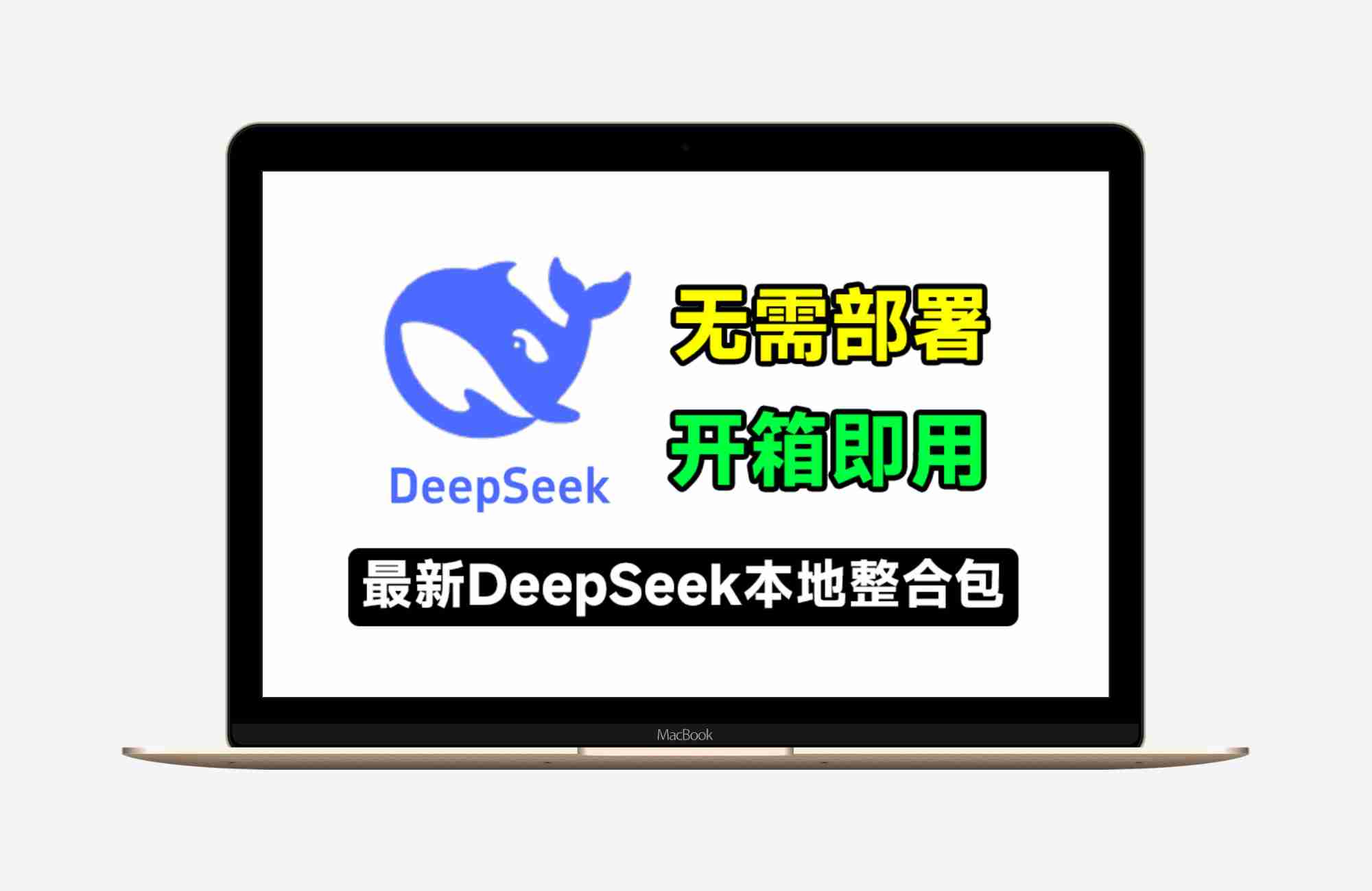 DeepSeek2025-2026本地终极版大模型离线2G直装