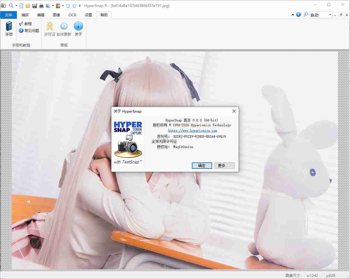 HyperSnap 屏幕截图 v9.8.1_x64_x86汉化单文件