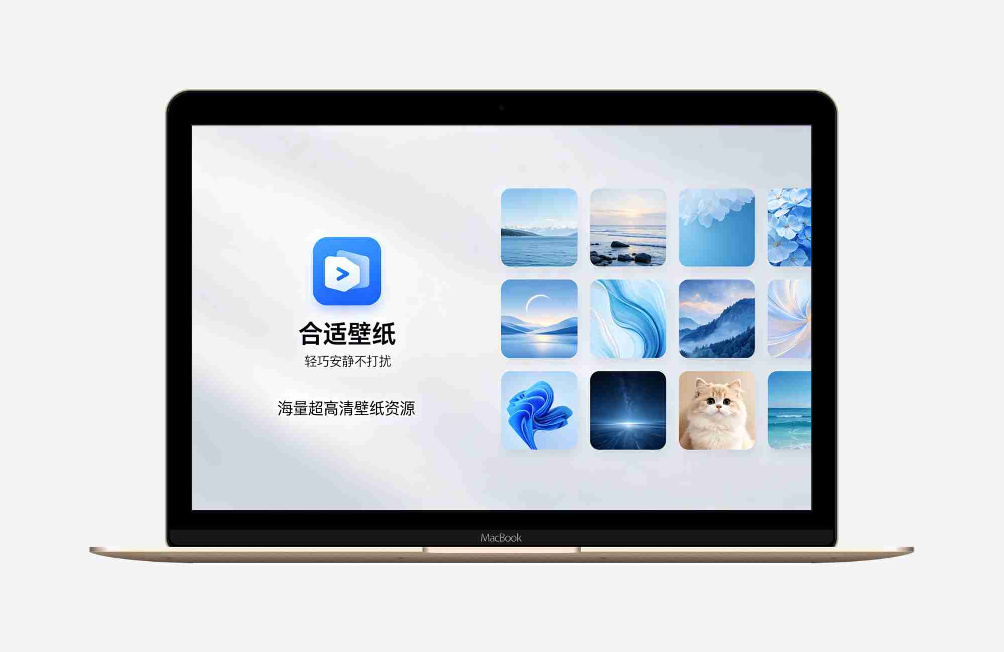 合适壁纸V1.2.0一款轻巧、安静不打扰壁纸软件