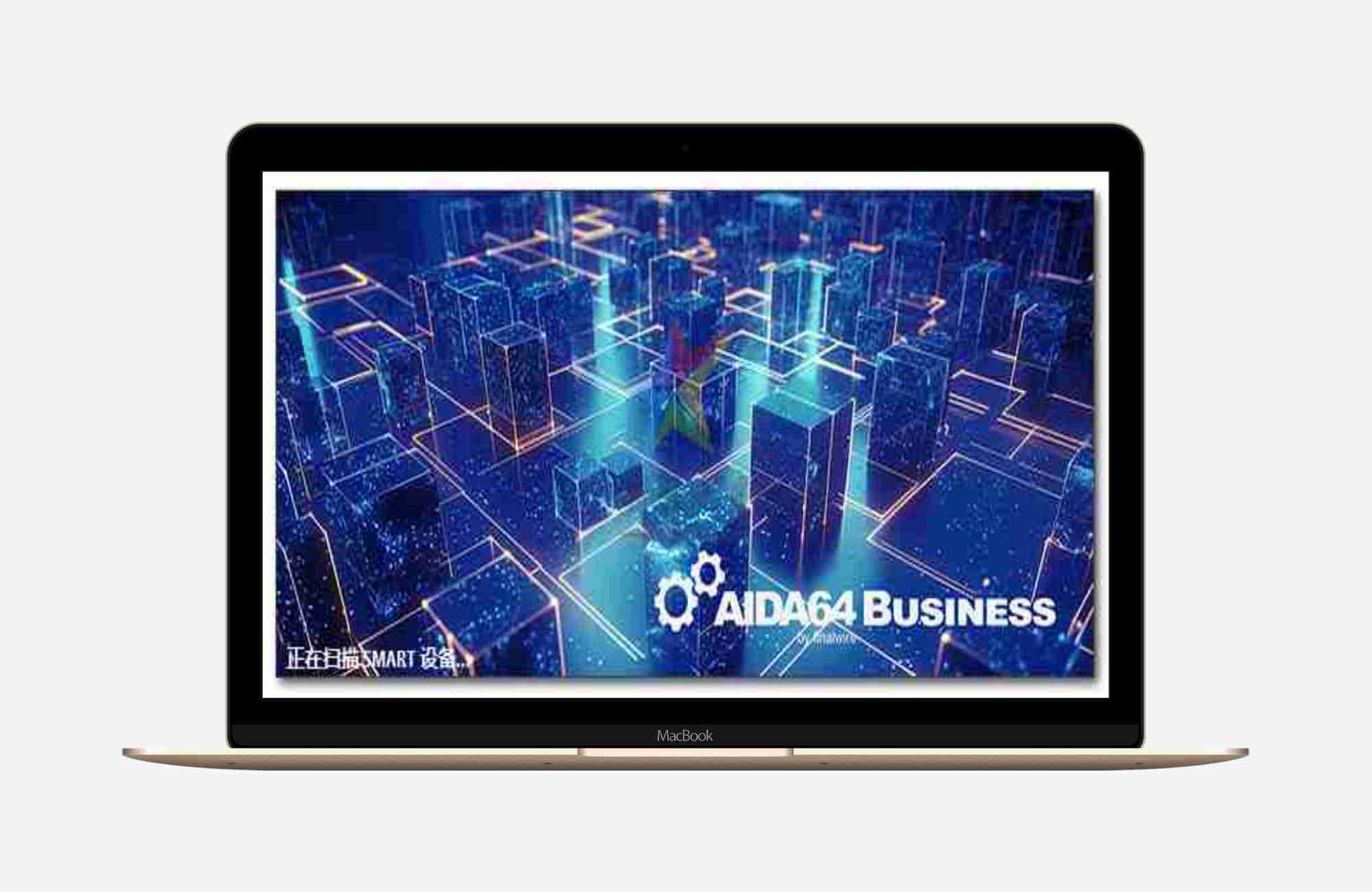 专业系统诊断（AIDA64_Business）V 8.30.8300管理工具