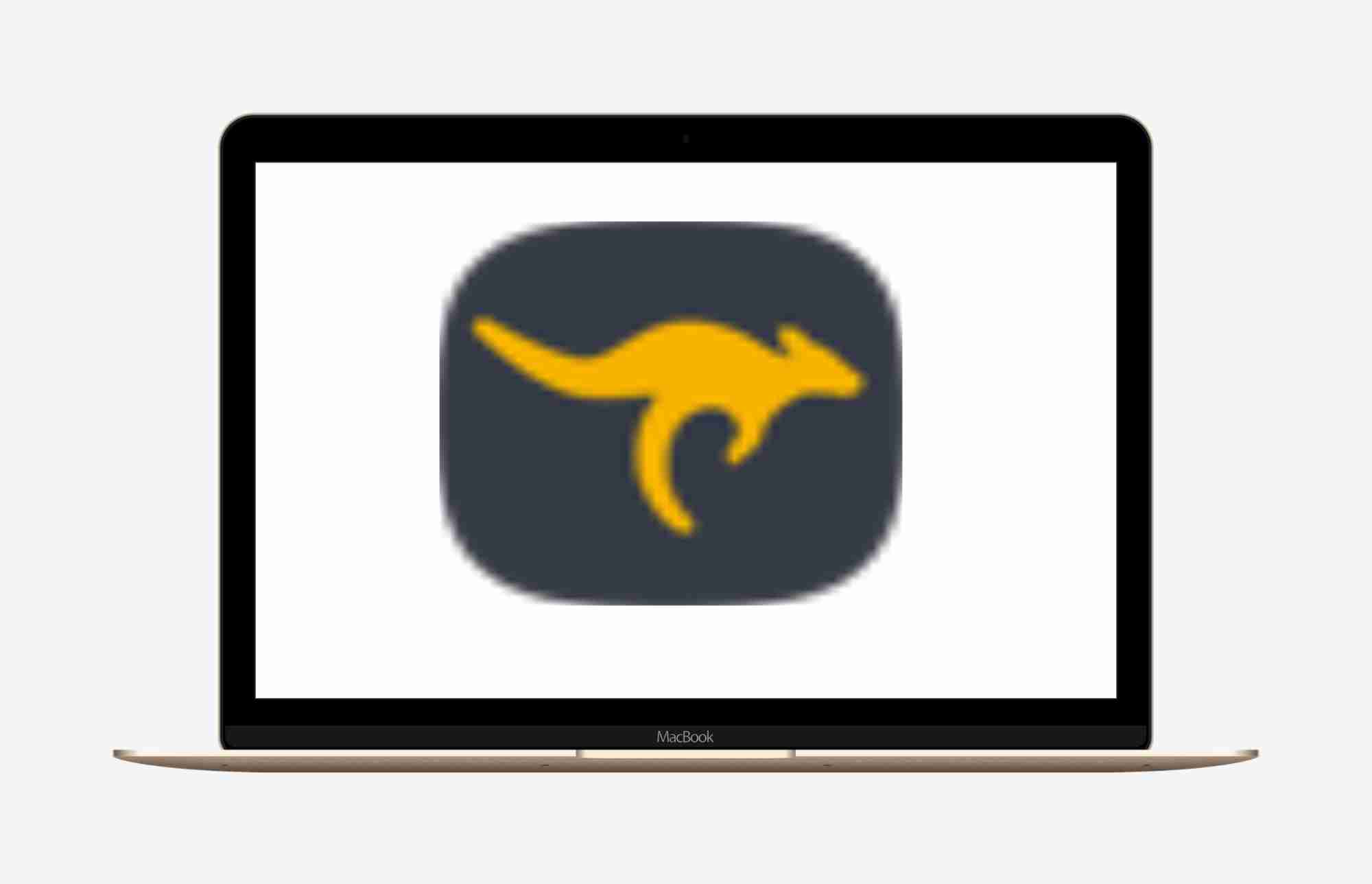 HopToDesk远程控制_v1.46.2.0