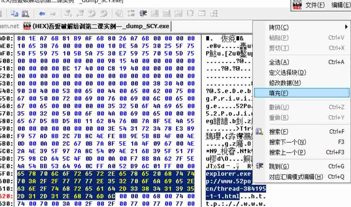 经典32位PE文件静态反汇编( C32ASM) V2.0.1.0 十六进制编辑器